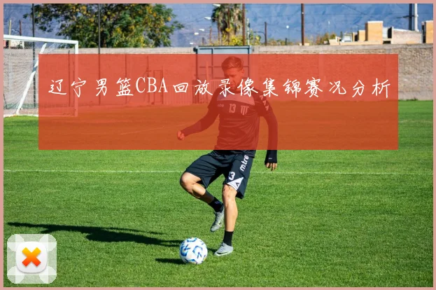 辽宁男篮CBA回放录像集锦赛况分析