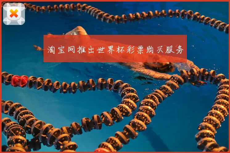 淘宝网推出世界杯彩票购买服务