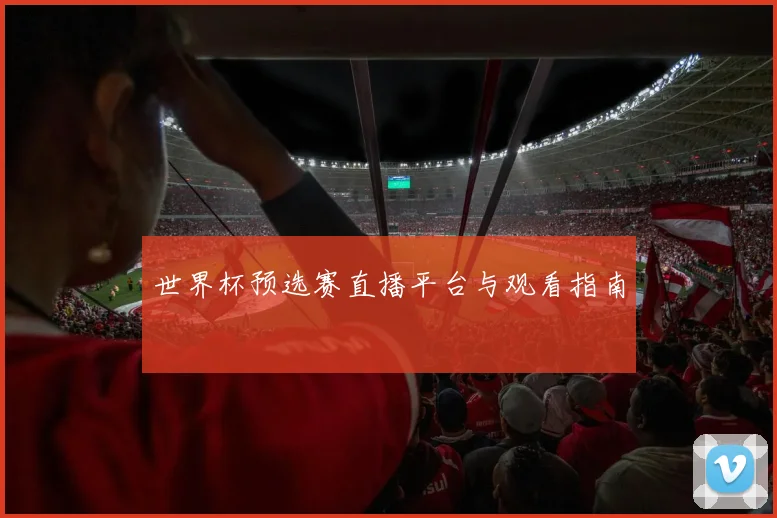 世界杯预选赛直播平台与观看指南