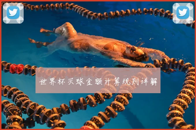 世界杯买球金额计算规则详解