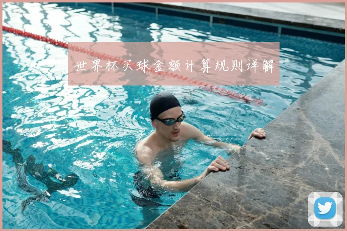 世界杯买球金额计算规则详解