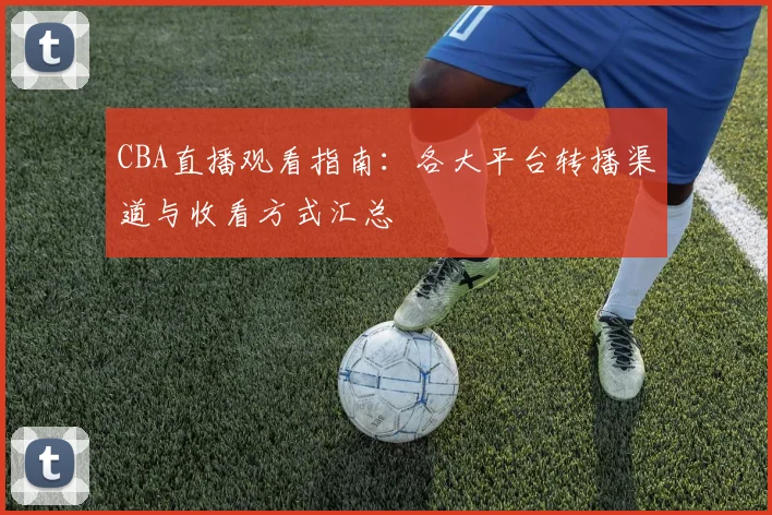 CBA直播观看指南：各大平台转播渠道与收看方式汇总