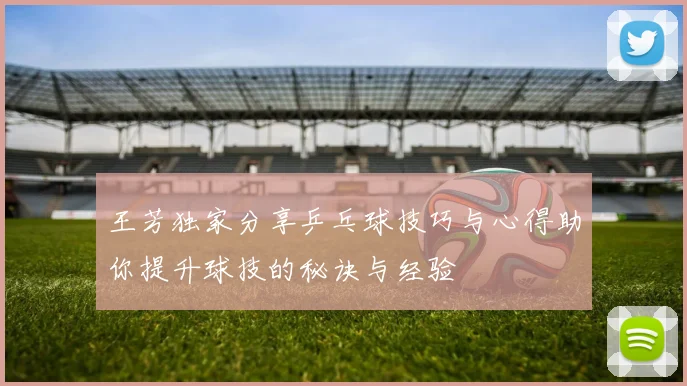 王芳独家分享乒乓球技巧与心得助你提升球技的秘诀与经验