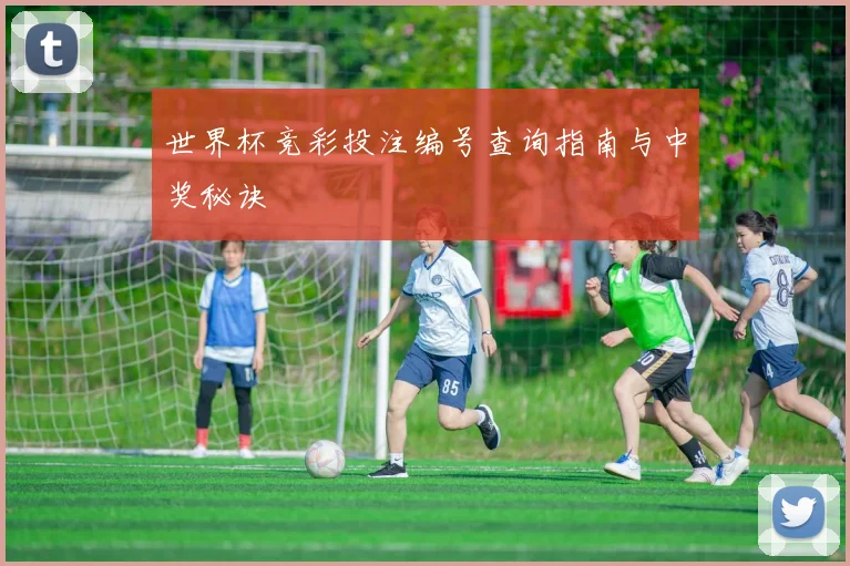 世界杯竞彩投注编号查询指南与中奖秘诀