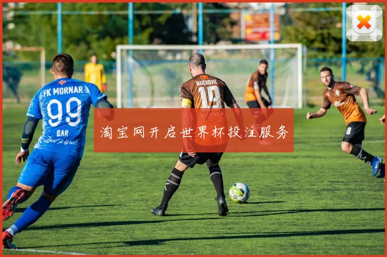 淘宝网开启世界杯投注服务