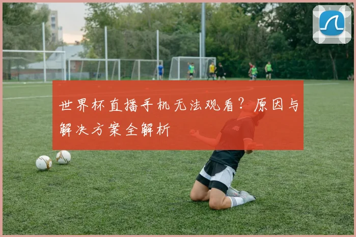 世界杯直播手机无法观看?原因与解决方案全解析