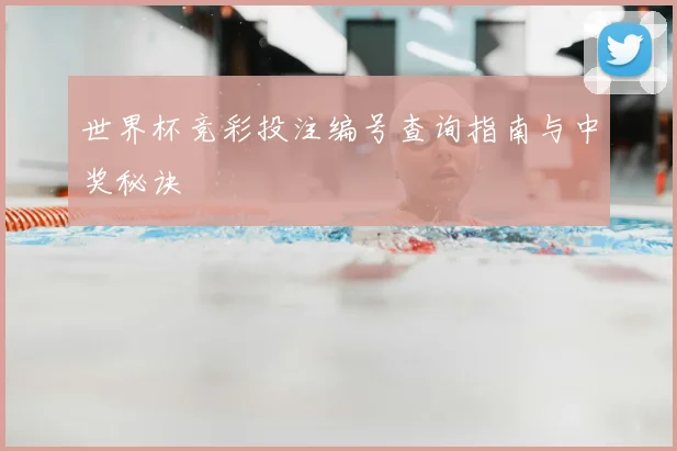 世界杯竞彩投注编号查询指南与中奖秘诀
